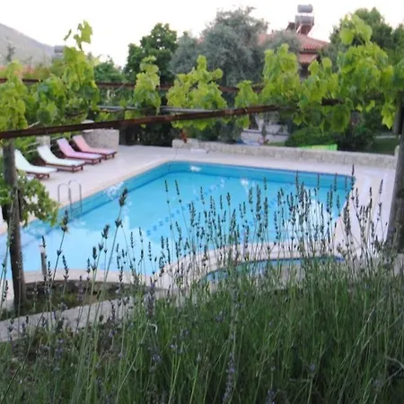 Villa 5 Yatak Odali Villa *